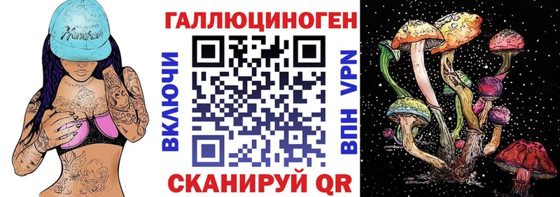 Галлюциногенные грибы Psilocybine cubensis  mega вход  Фатеж  купить  цена 